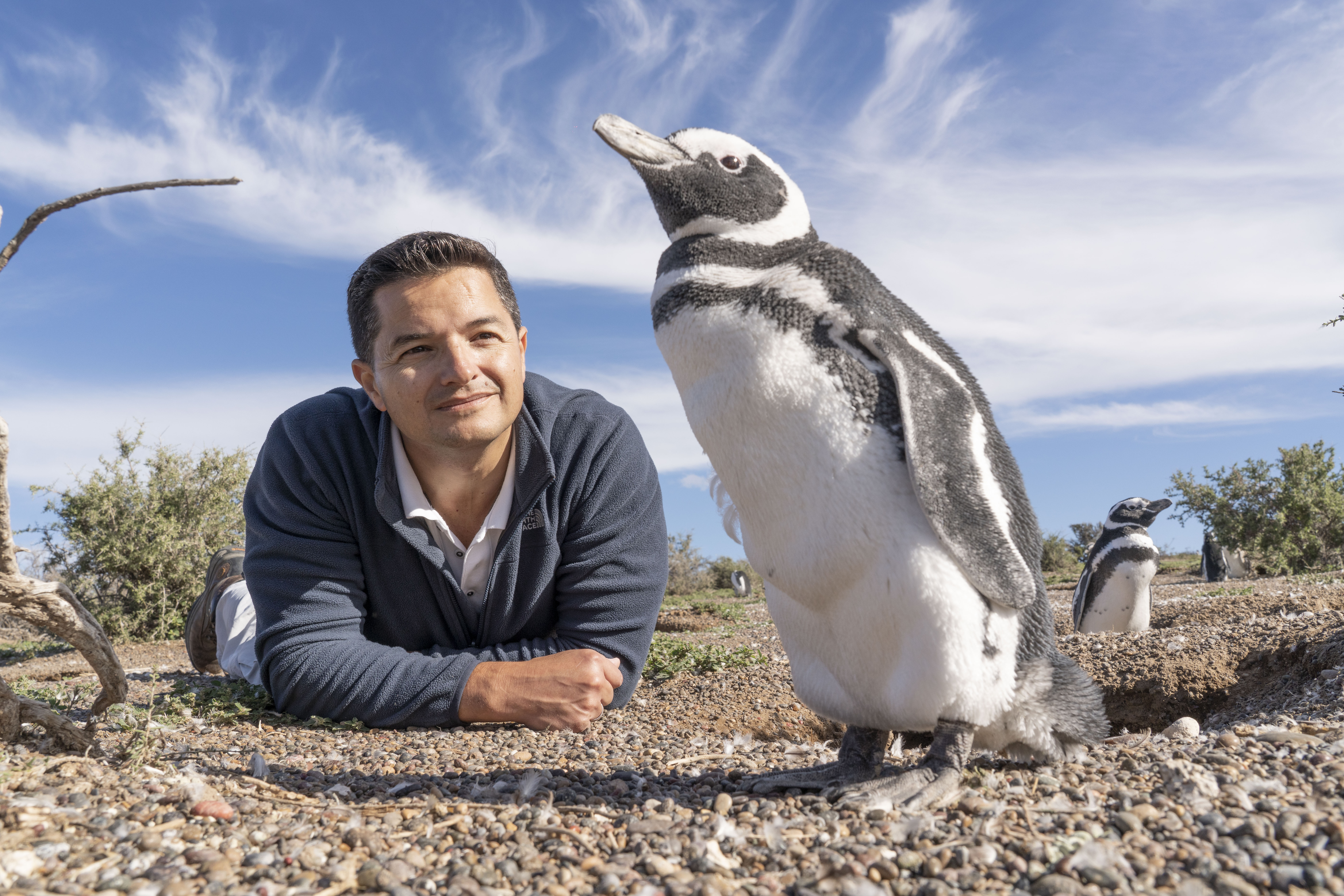 Protector of Penguins Earns World’s Leading Award for Animal Conservation