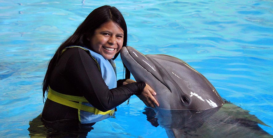 dolphin-adventure-indianapolis-zoo