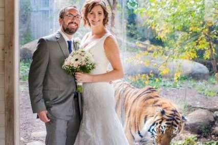 tiger wedding