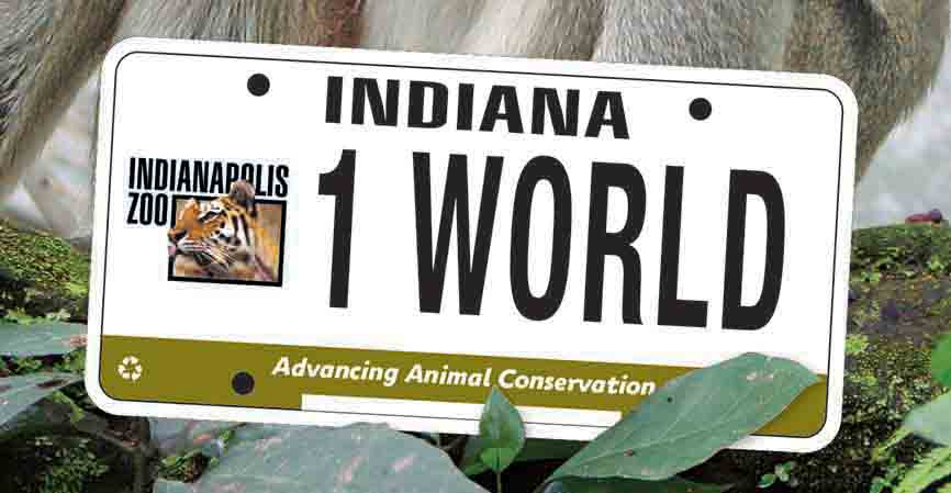 Indianapolis Zoo License Plate