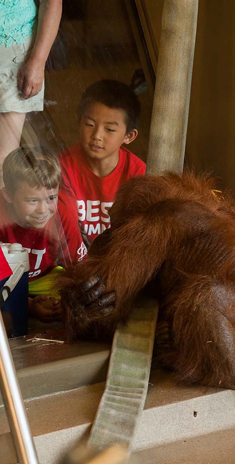 Zoo Members Enjoy these WILDLY AMAZING benefits