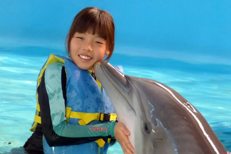 dolphin kissing girl in blue life vest