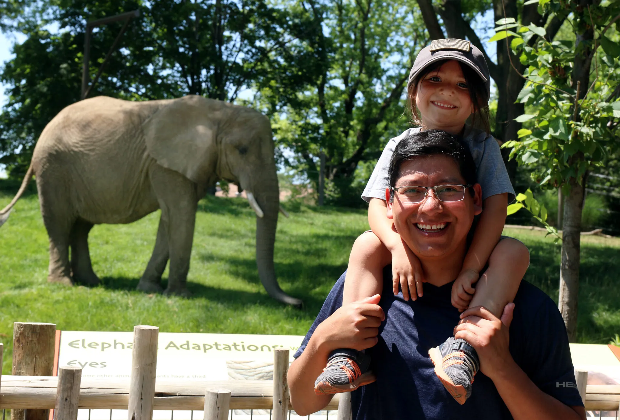 Dad with child on shoulder with elephant behind at Indy Zoo