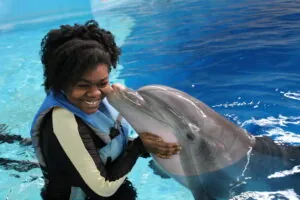 Dolphin In-Water Adventure