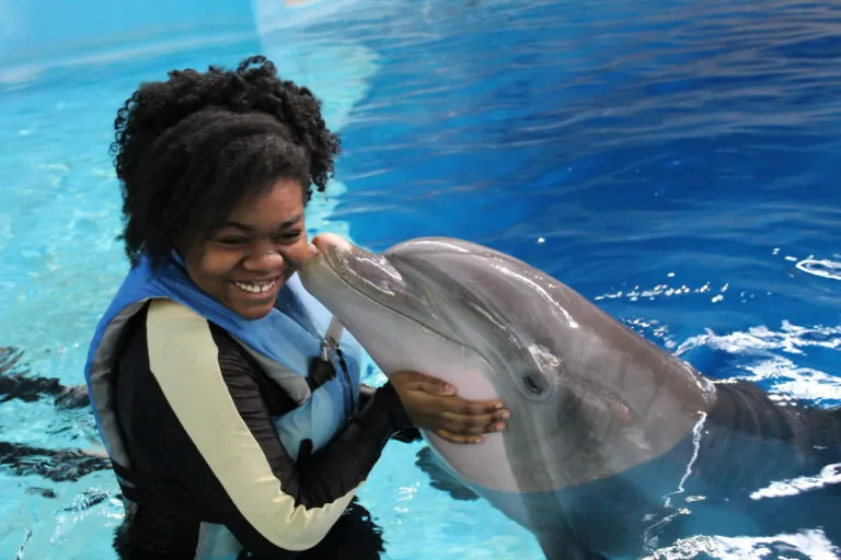 dolphin kissing girl in wetsuit and life vest