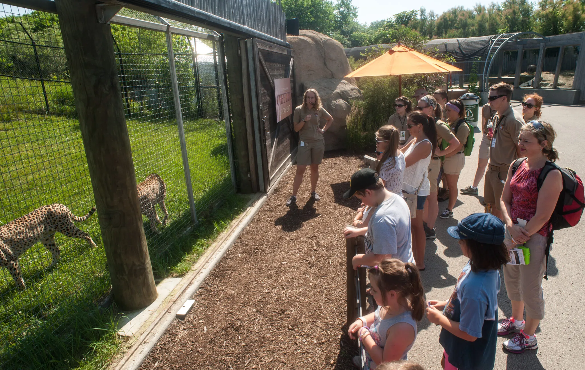 cheetah trainer talking to zoo guests