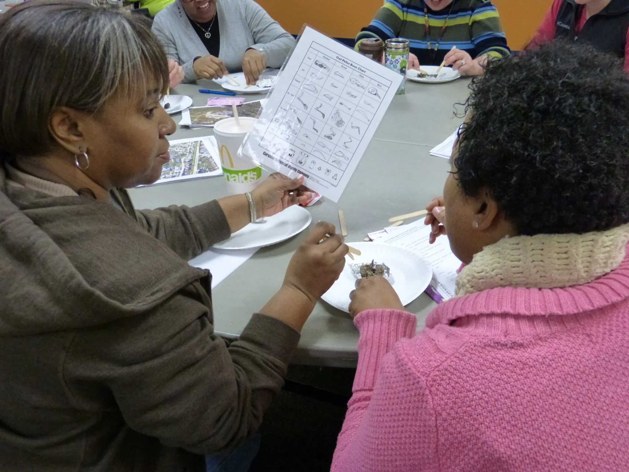 Teachers in a workshop