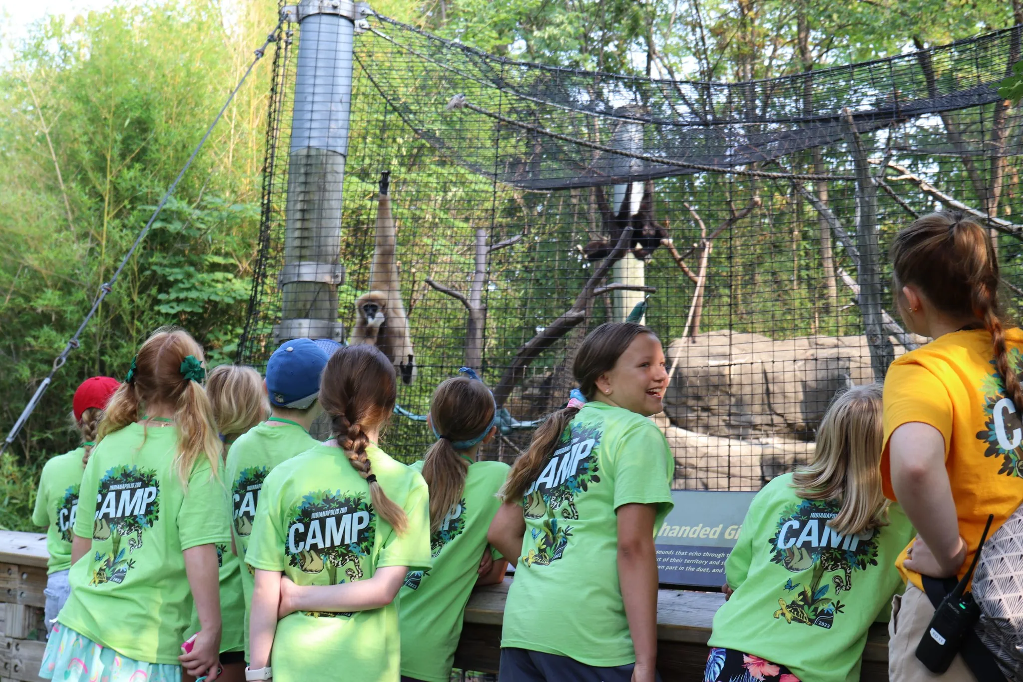 Zoo Camp kids at gibbon exhibit