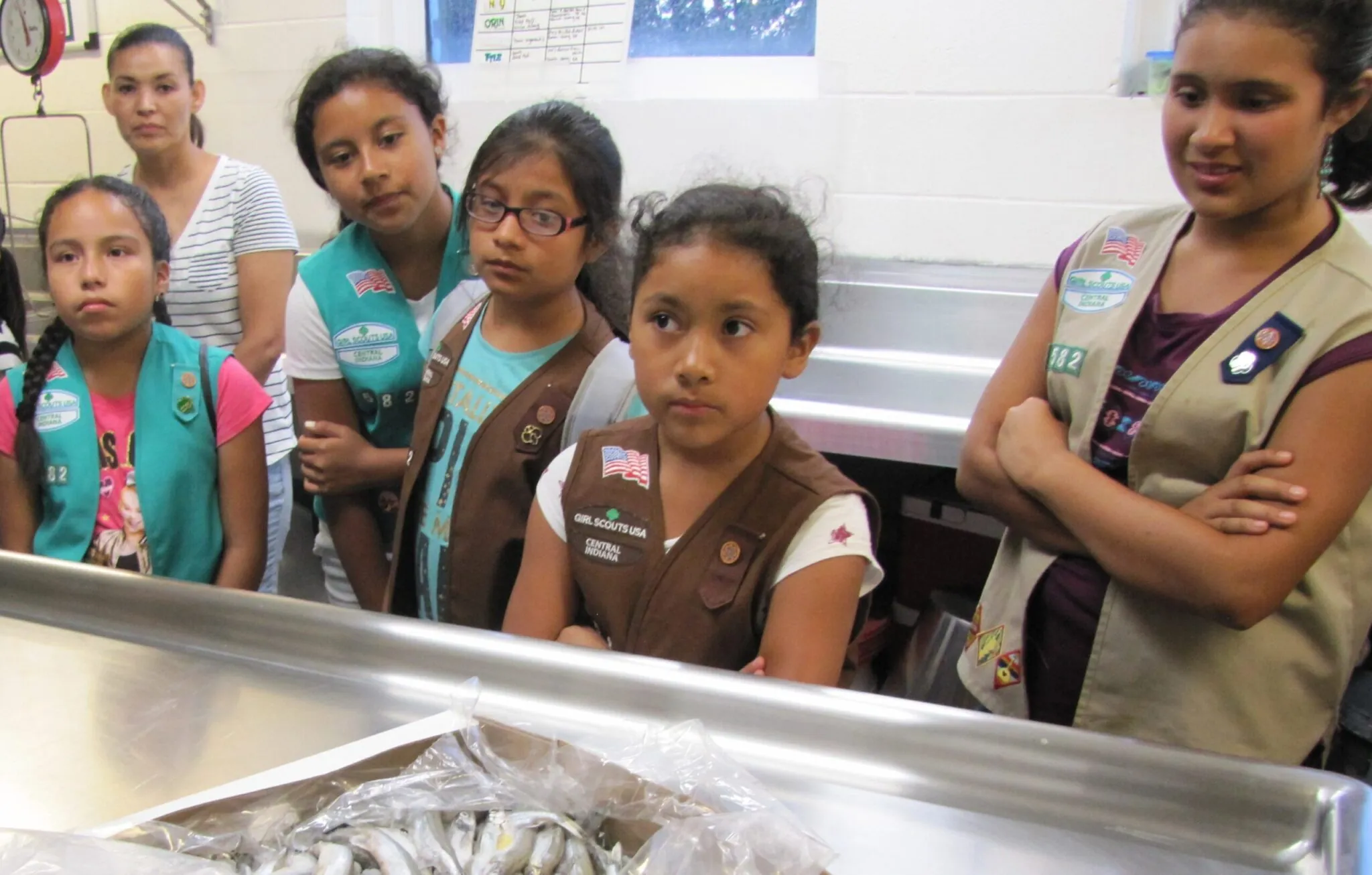 Brownie Girl Scouts behind the scenes at the Zoo
