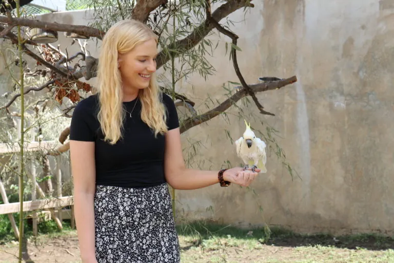 white cockatoo sitting on girl's hand, cockatoo meet and greet at the Indy Zoo