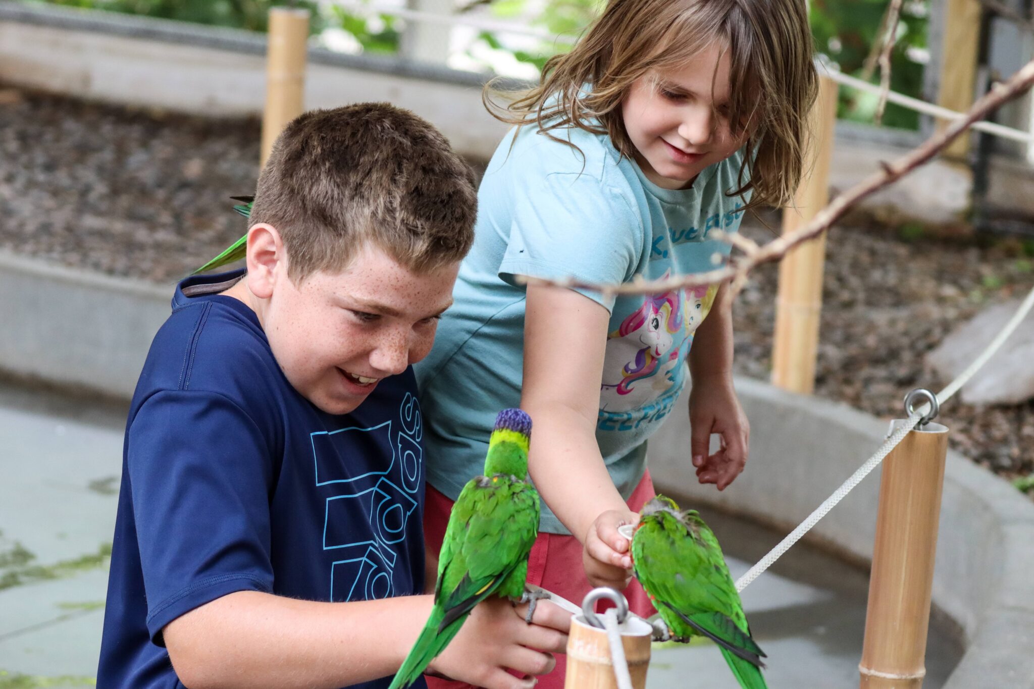 two kids feeding lorikeets at the indy zoo