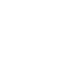 NE icon