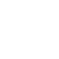 NT icon