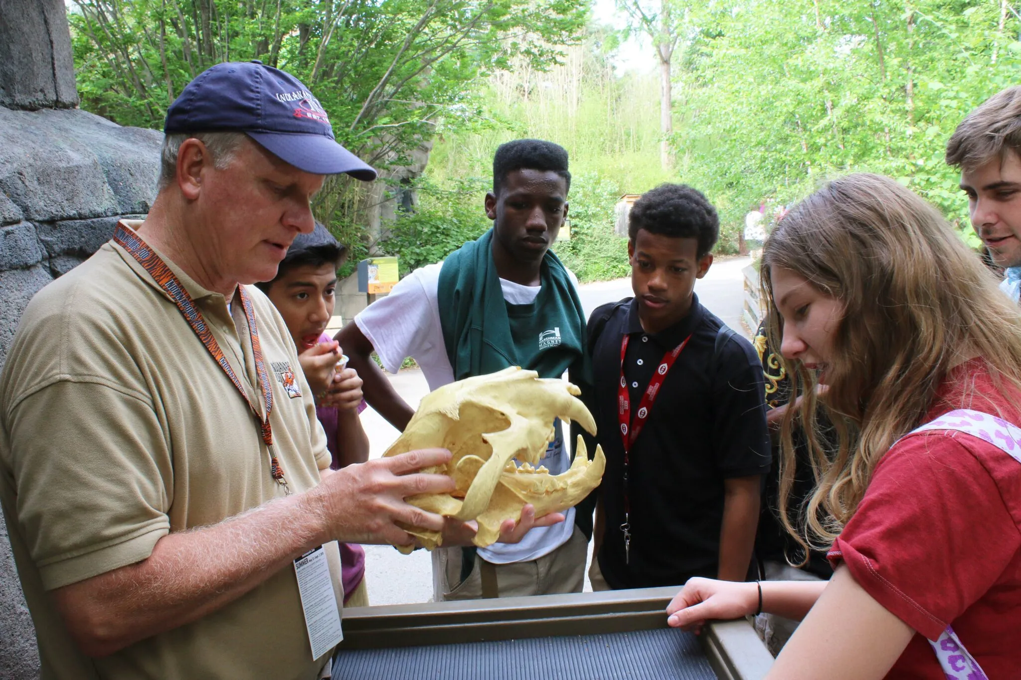 Teenagers are gathered around a zoo volunteer who is showing them a replica skull of a tiger.