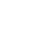 VU icon