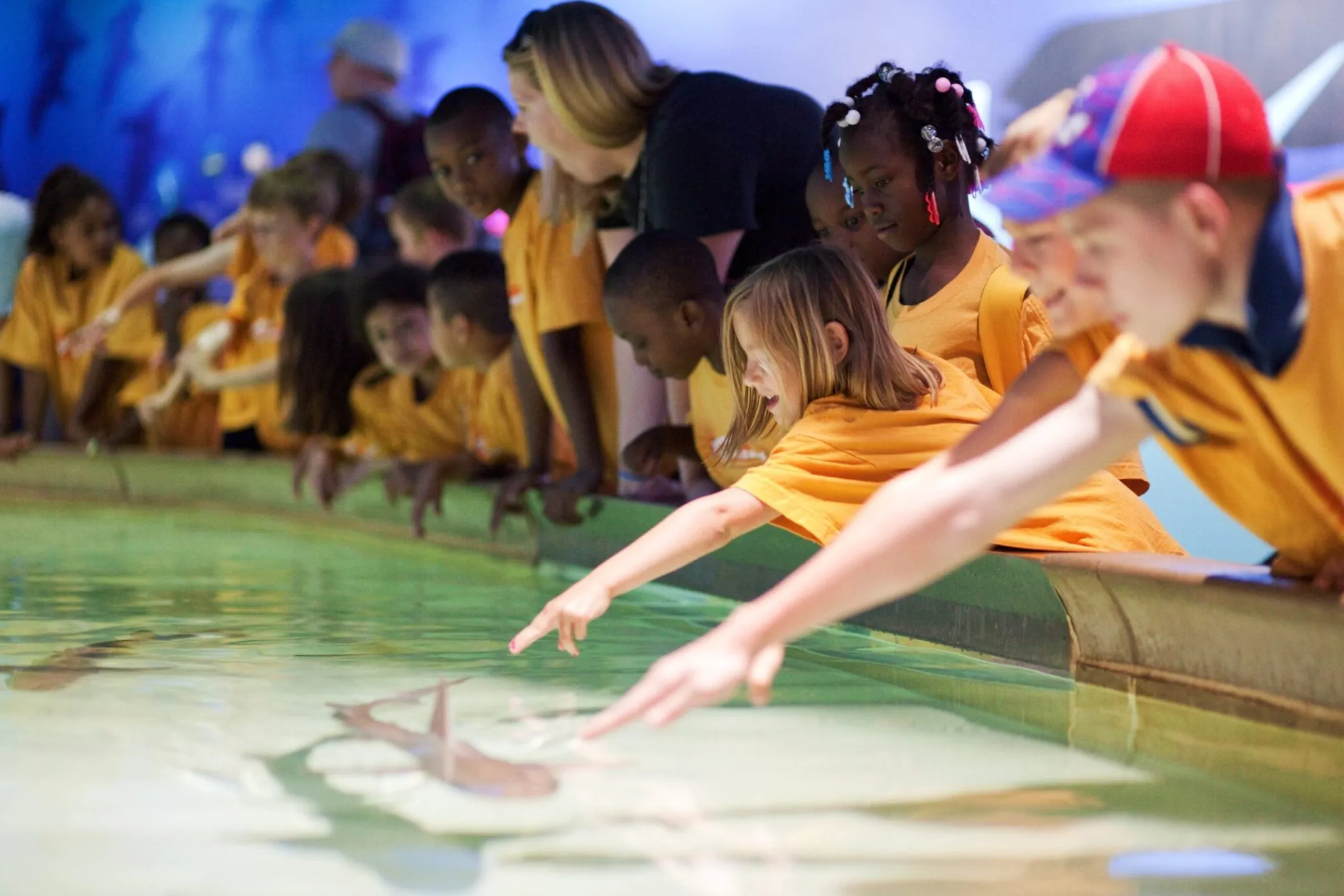 Children at the shark/ray touch tank