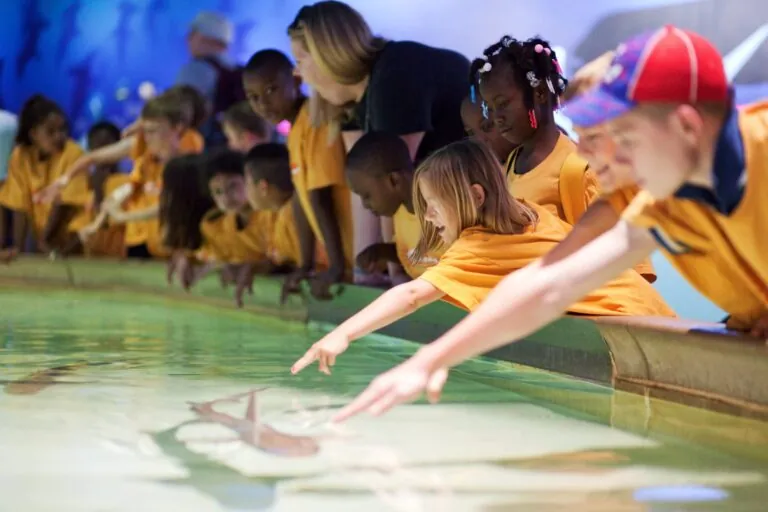 Zoo Camp children at the shark touch pool