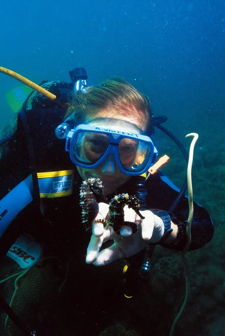 amanda vincent conservationist underwater with seahorses