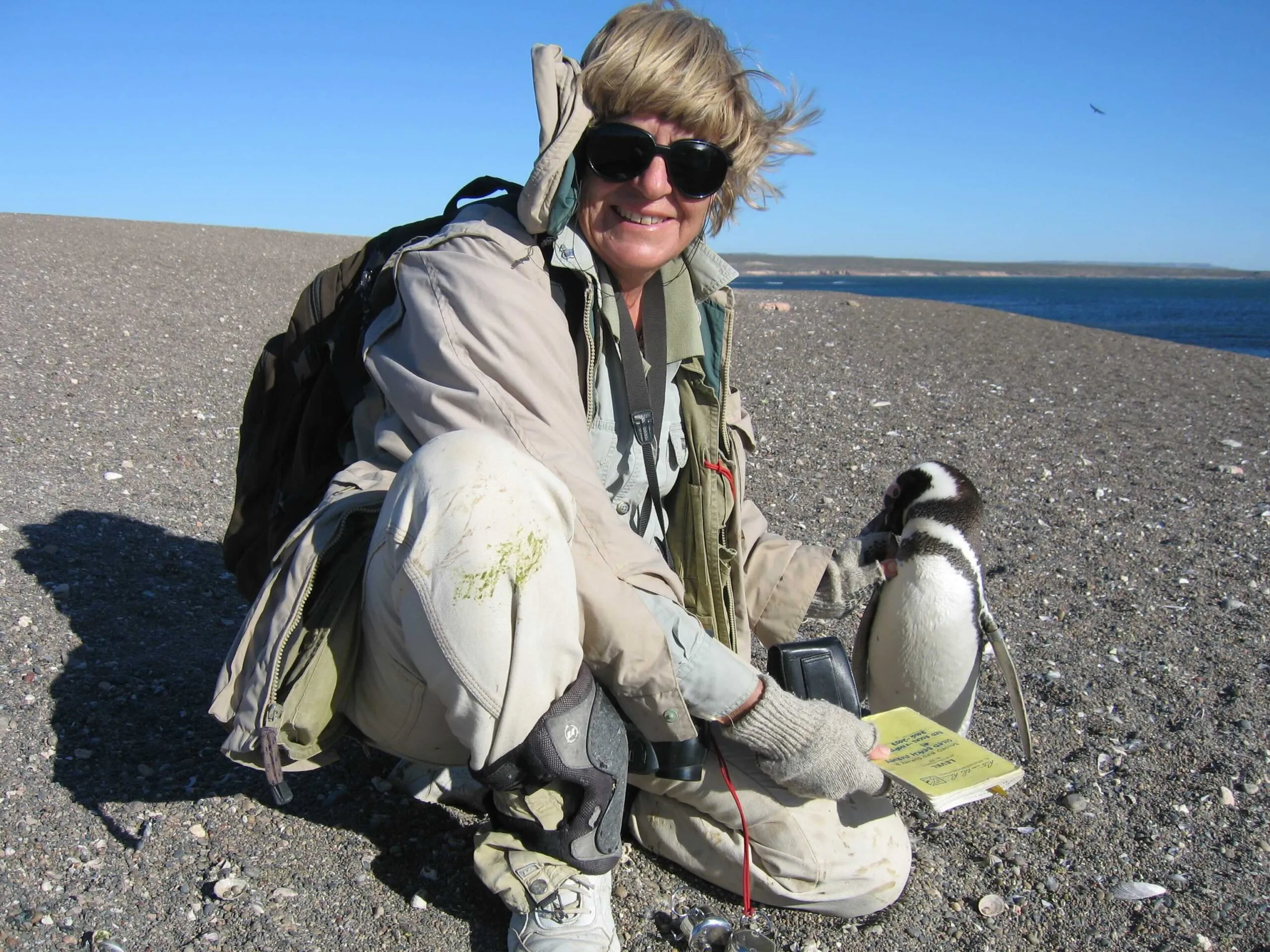 dee boersma on beach with penguin, conservationist