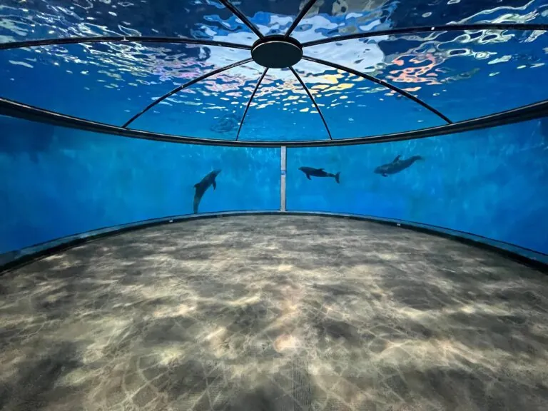 dolphin underwater viewing dome at the Indianapolis Zoo