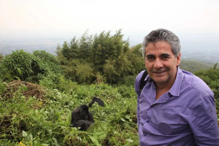 Gerardo Ceballos with gorillas