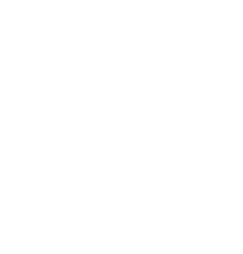 Social media icon