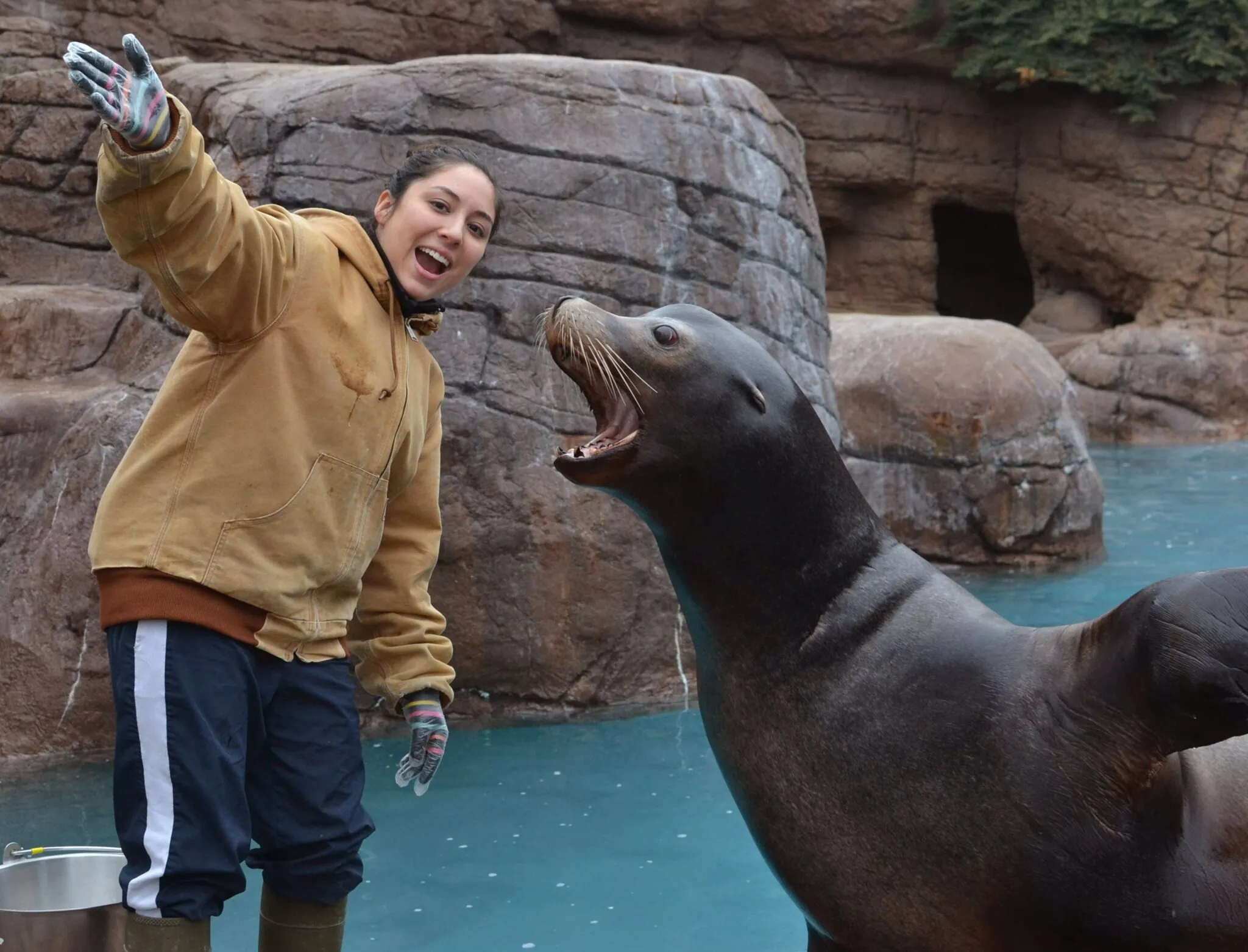 keeper with a sea lion doing a chat for guests