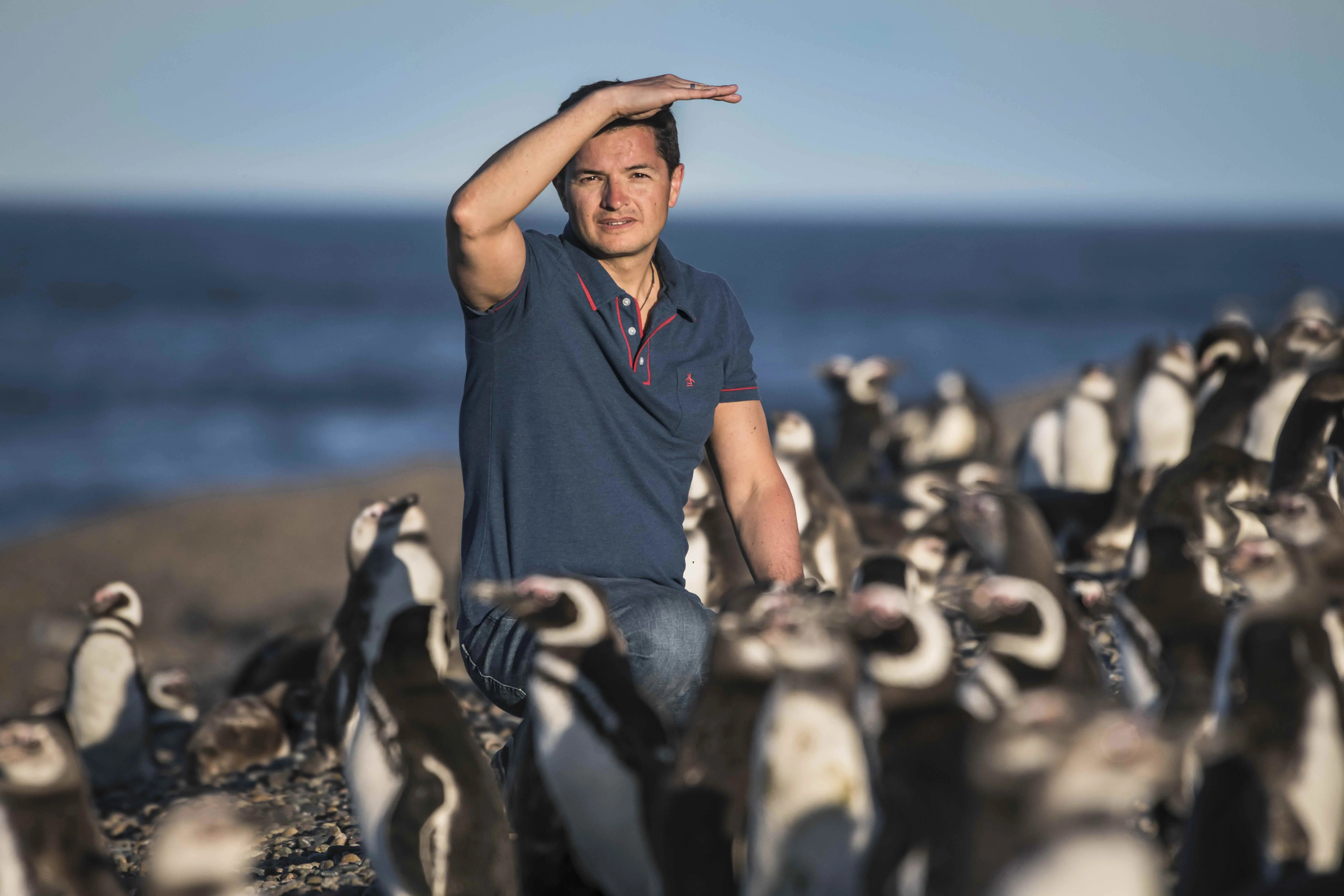 pablo borboroglu with penguins on beach