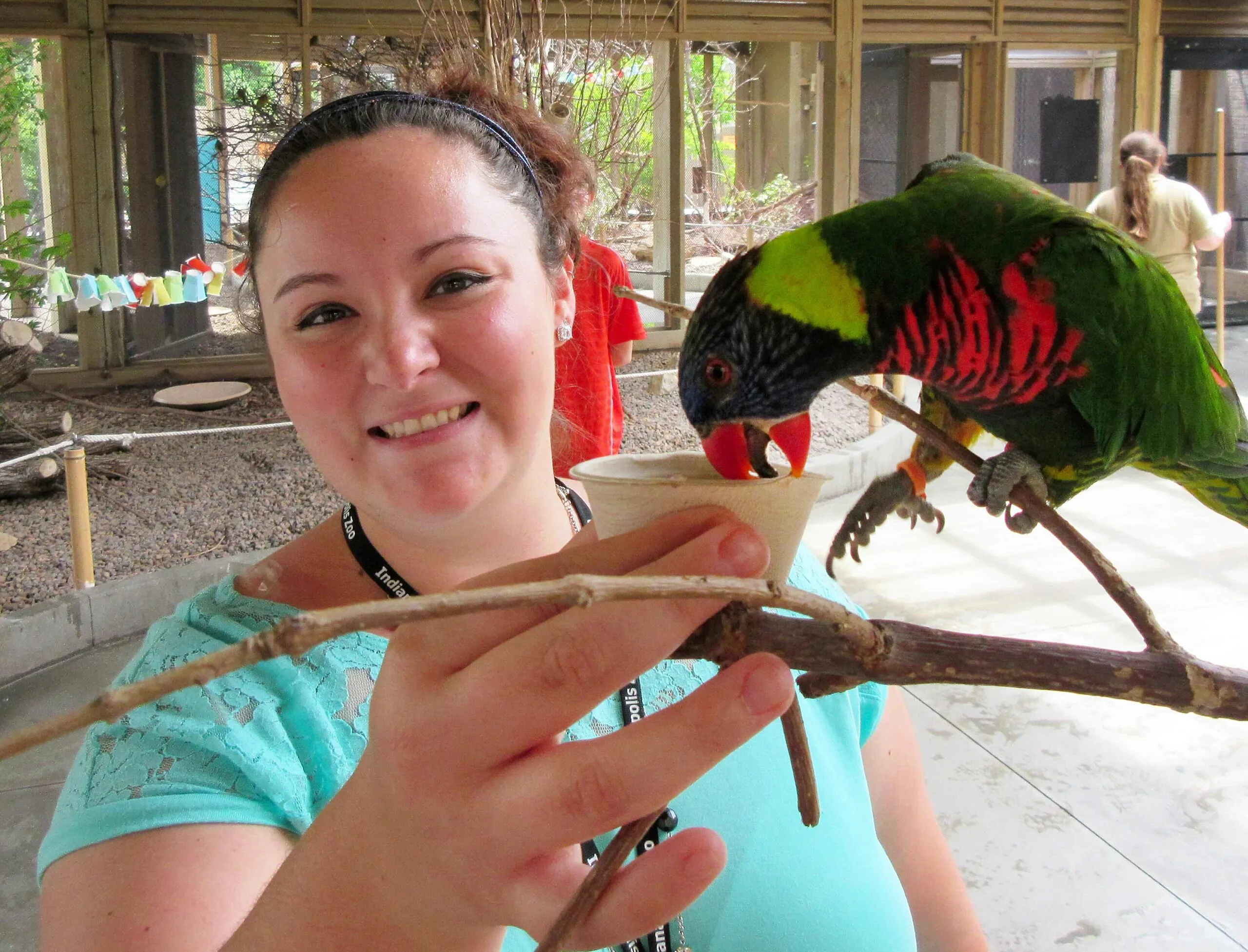 Zoo intern feeding a lorikeet