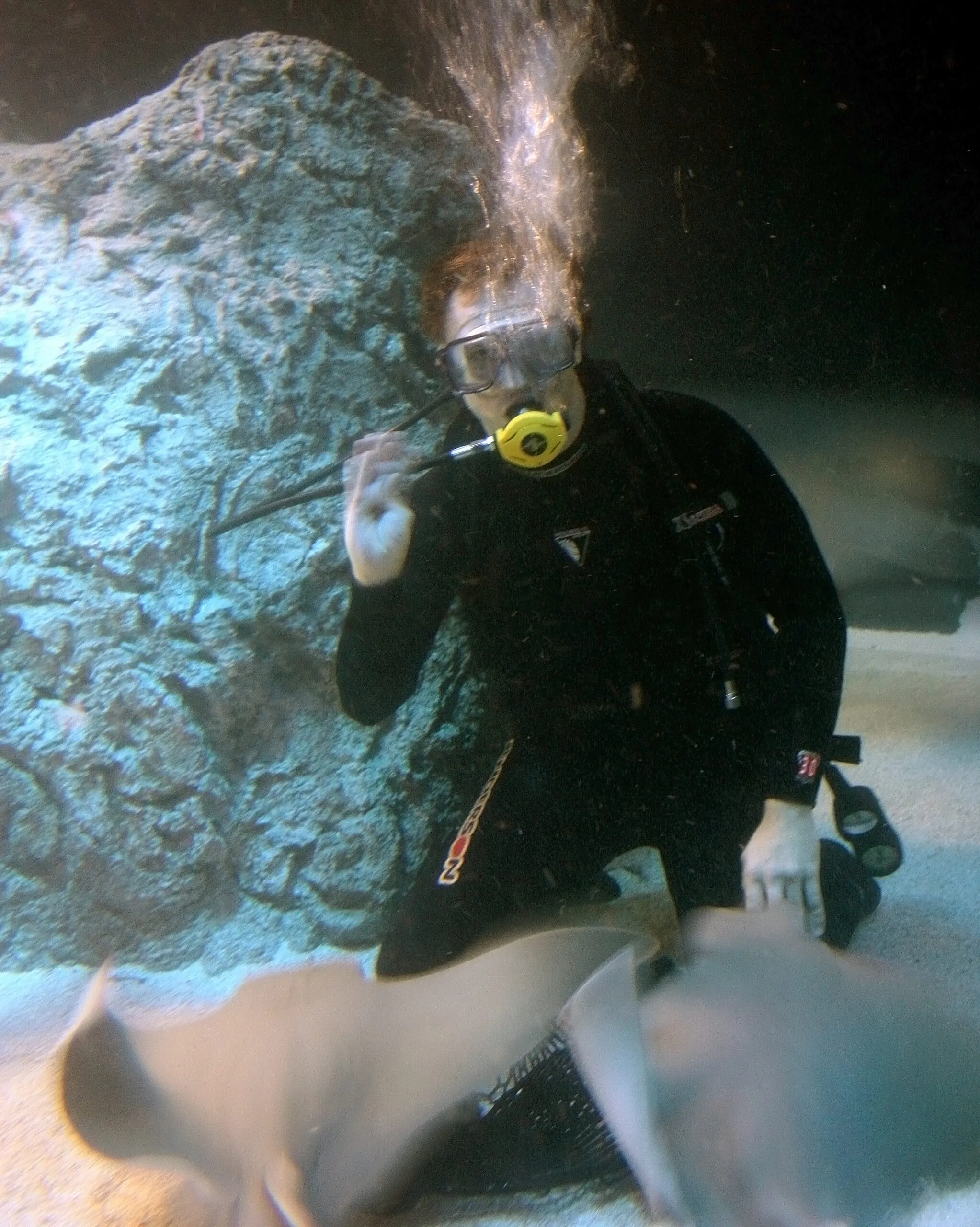 zoo intern suba diving