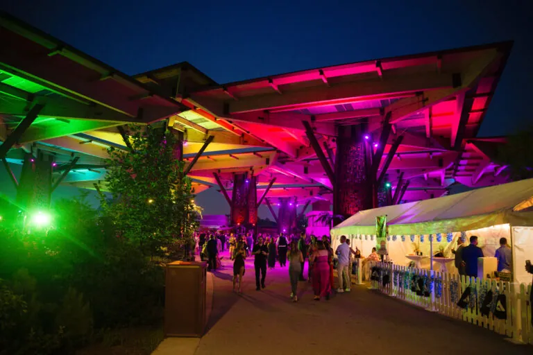 Indy Zoobilation at night