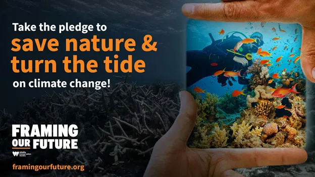 Framing our Future conservation graphic