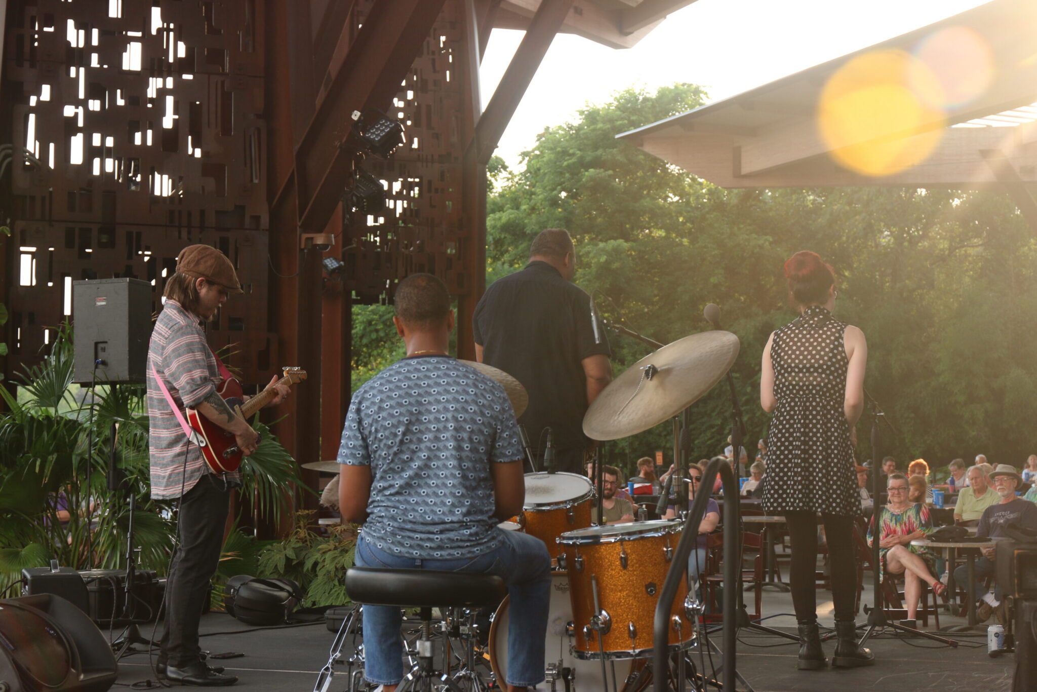 Animals and All That Jazz, band playing live music