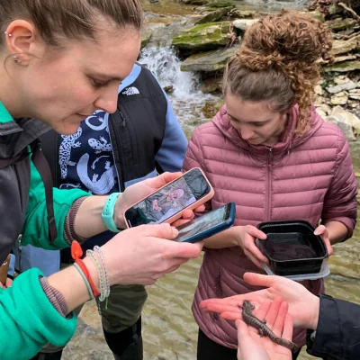 group taking photos of salamanders caught in stream