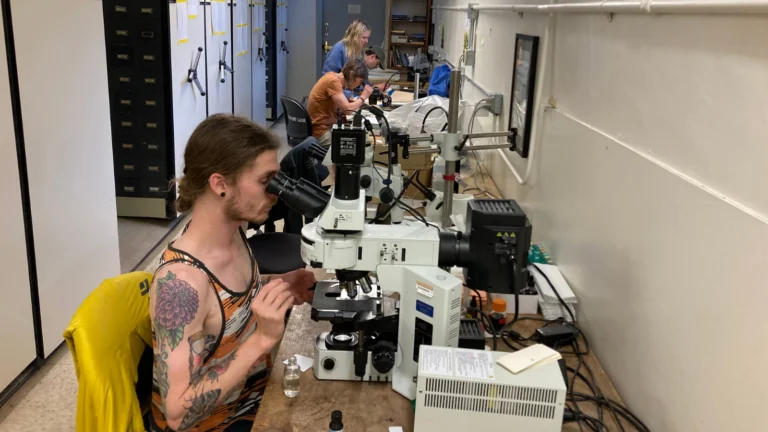 people researching lichen in lab with microscopes