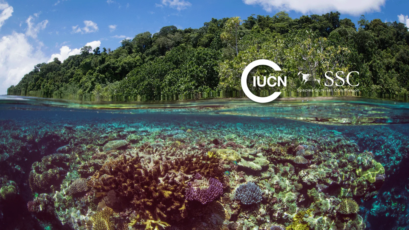 Species Survival Commission header image with coral and forest