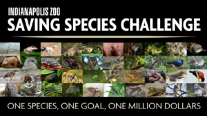 saving species challenge graphic