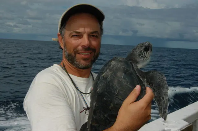 man holding sea turtle out on a boat in the ocean
