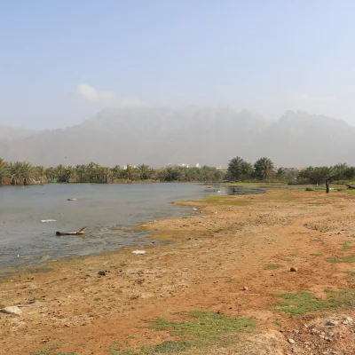 Socotra wetlands