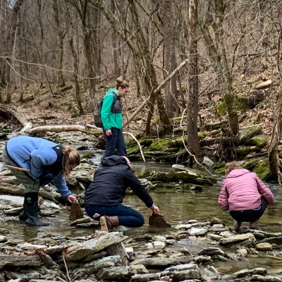 four people searching stream