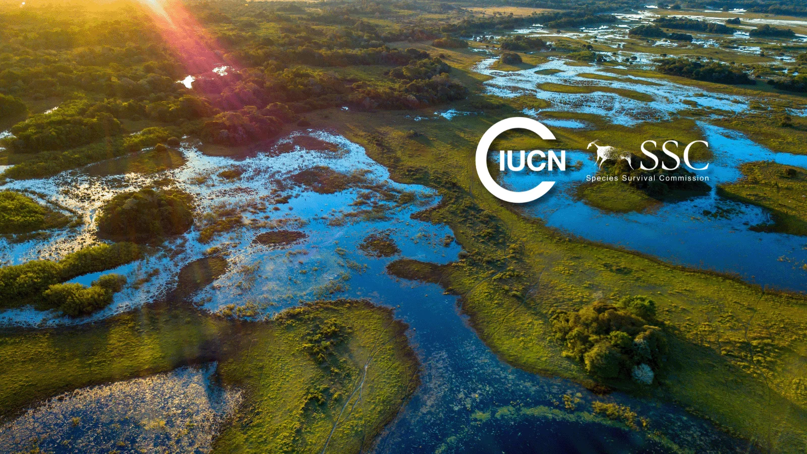 Species Survival Commission wetlands