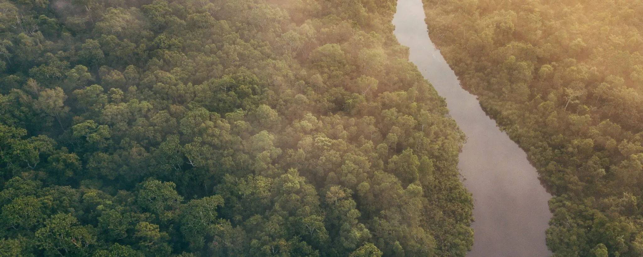 global conservation: river in the rainforest