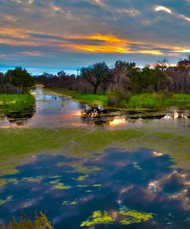 wetland conservation: wetland at sunset