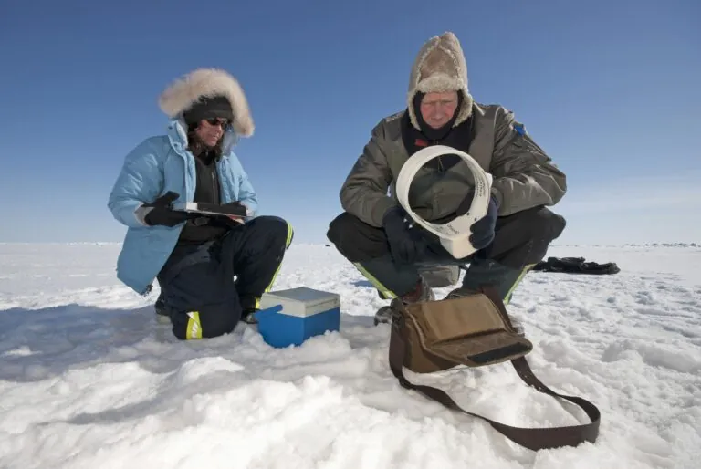 Dr. Steve Amstrup, USGS biologist, and assistant Karyn Rode preparing a radio collar to be fitted to a female polar bear on the Beaufort Sea ice pack. Kaktovik, Alaska