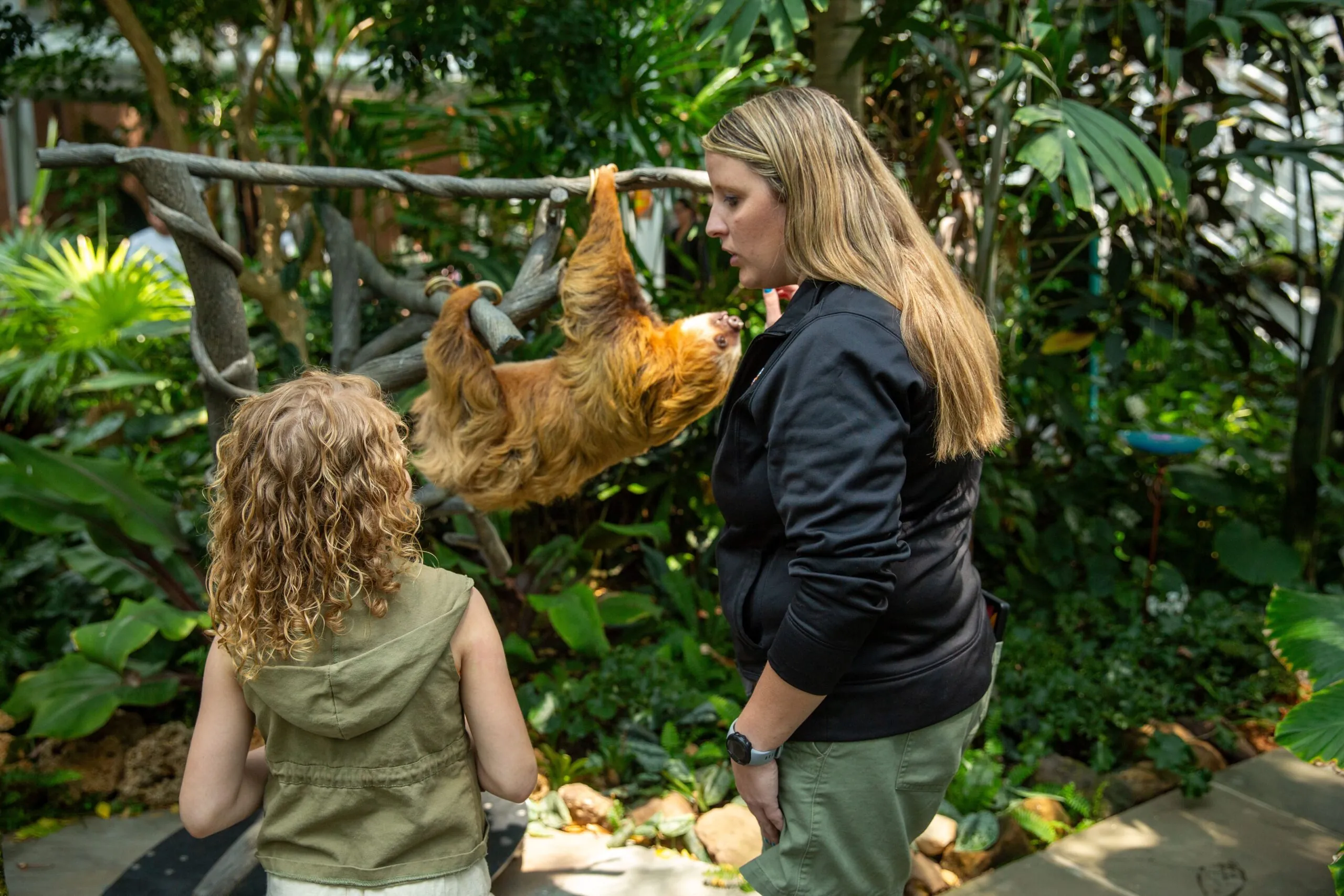 animal keeper talking to girl about sloth