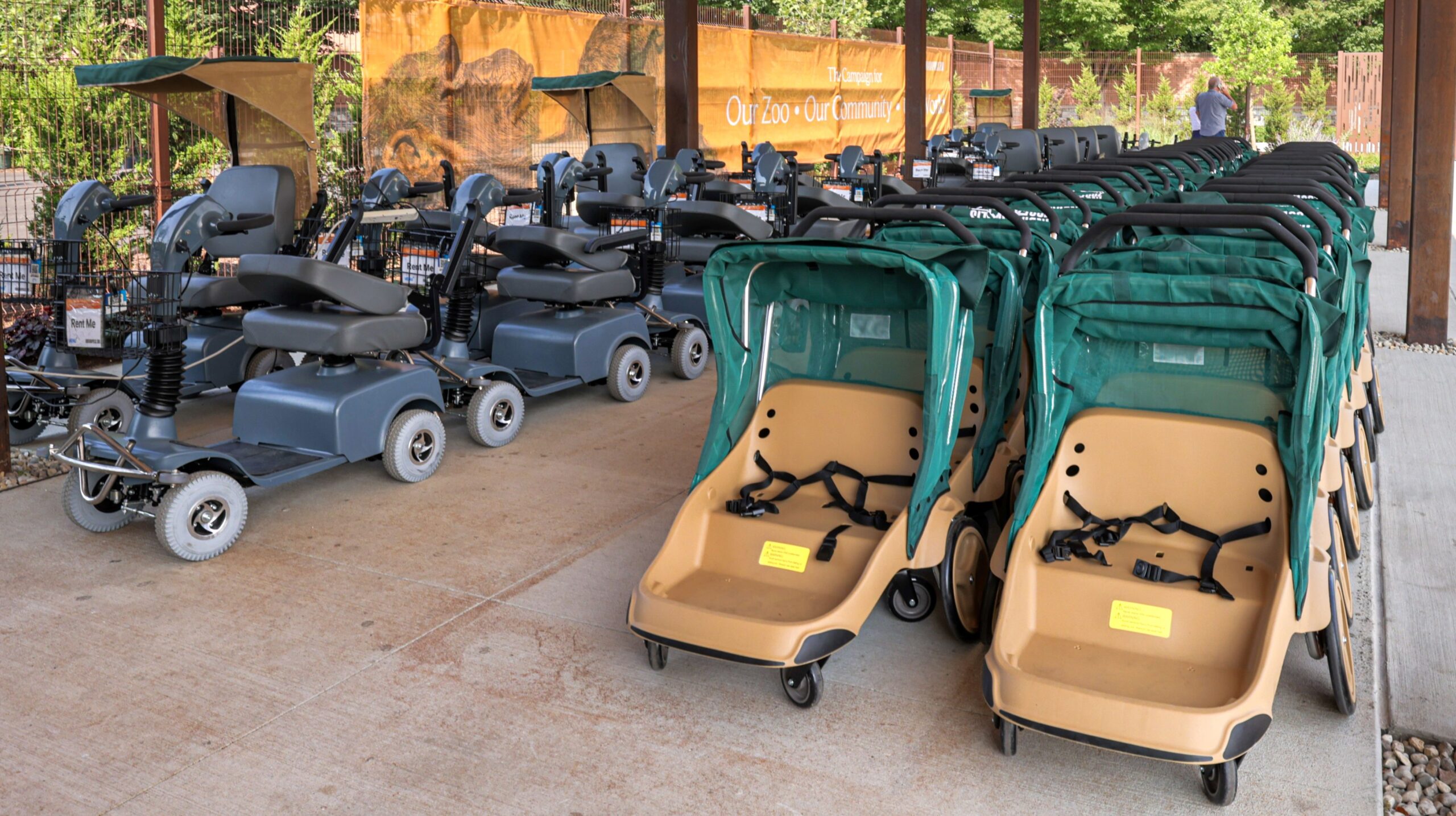 Zoo stroller hotsell