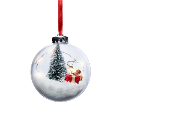 Christmas bulb ornament with tree inside