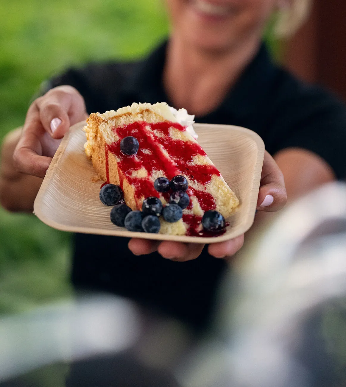 slice of cake with fresh blueberries