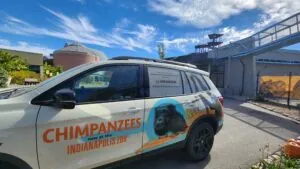 honda vehicle in front of chimpanzee complex