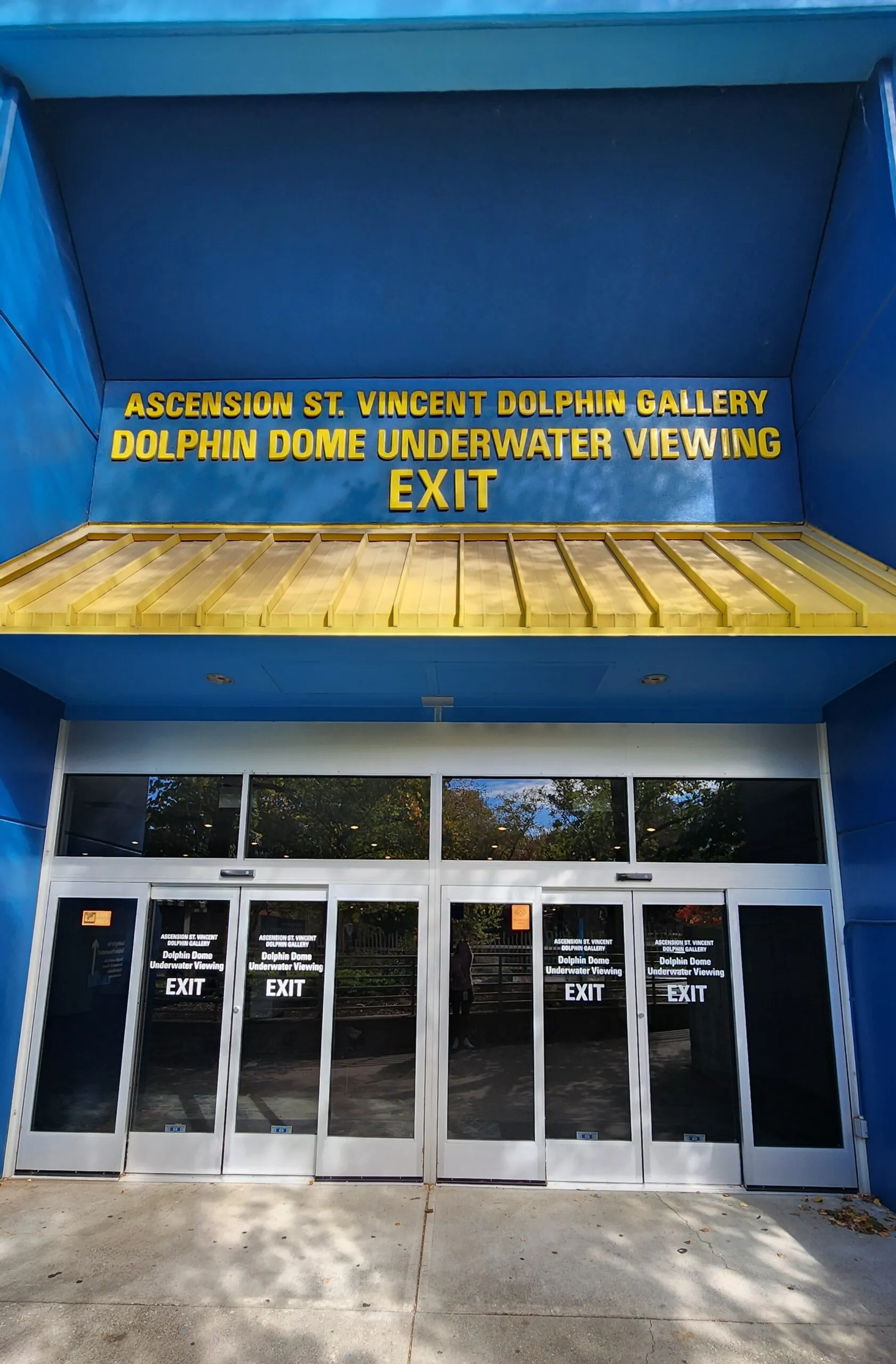 st. vincent dolphin gallery exit